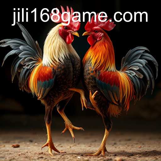 Understanding Cockfighting and Its Relation to JILI168